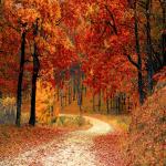 October Gemstones:  Double the Fun